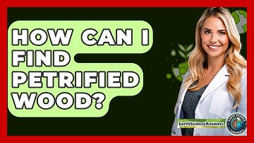 How Can I Find Petrified Wood? - Earth Science Answers