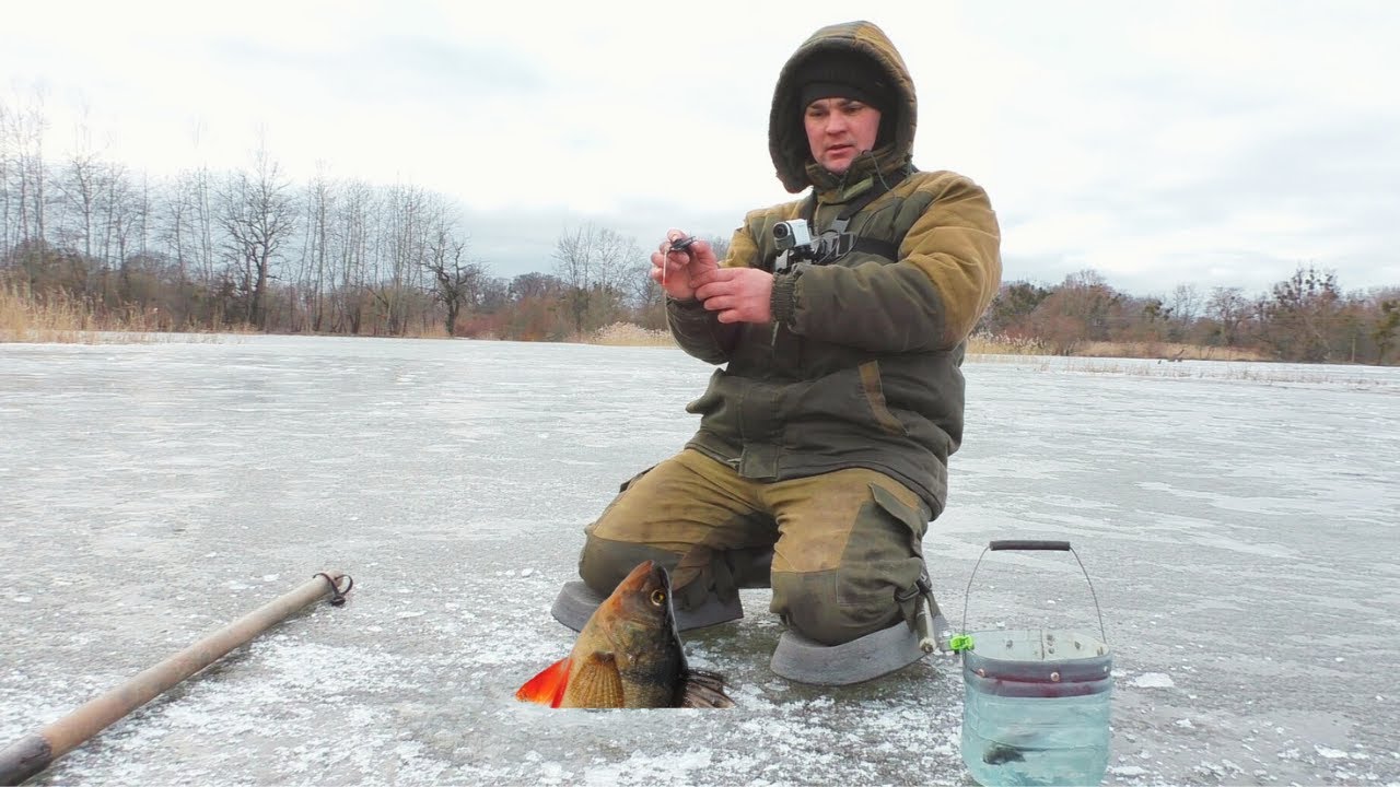 НА ЦЮ ЛІСОТКУ ОКУНЬ ВІДЗИВАЄТЬСЯ ЗАВЖДИ! ЗИМОВА РИБОЛОВЛЯ 2024! ЛОВЛЯ ОКУНЯ на БЕЗМОТИЛКУ!