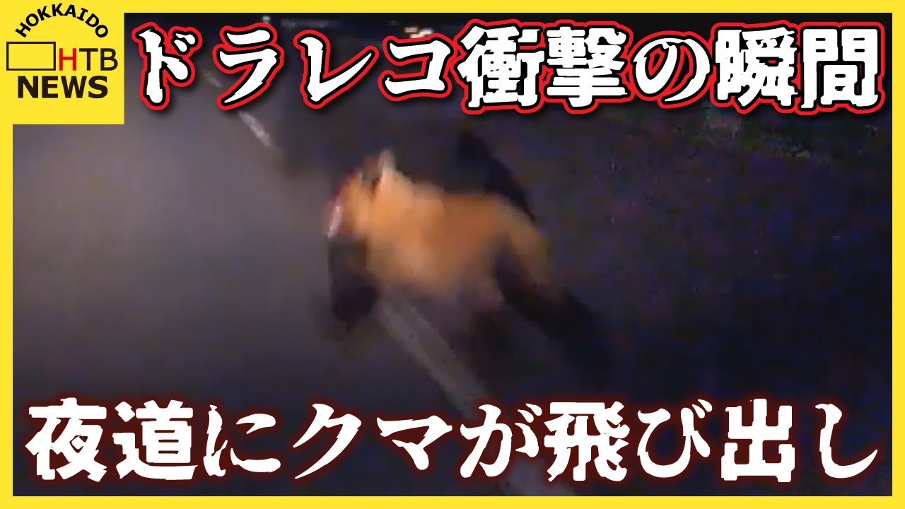 道南・上ノ国町でドライブレコーダーが捉えた衝撃の瞬間 夜道にクマが