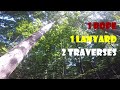 1 Rope 1 lanyard 2 traverses_Recreational Tree climbing