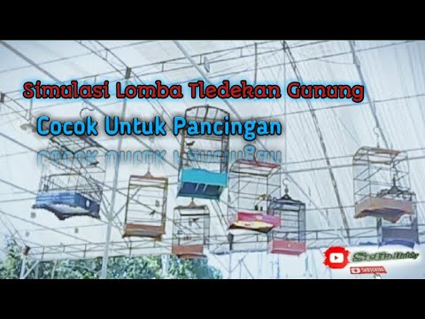 SUARA TLEDEKAN GUNUNG FULL GACOR | Pancingan AMPUH 100% bikin sulingan bahan cepat bunyi