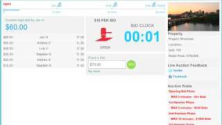 Auction Demo Video