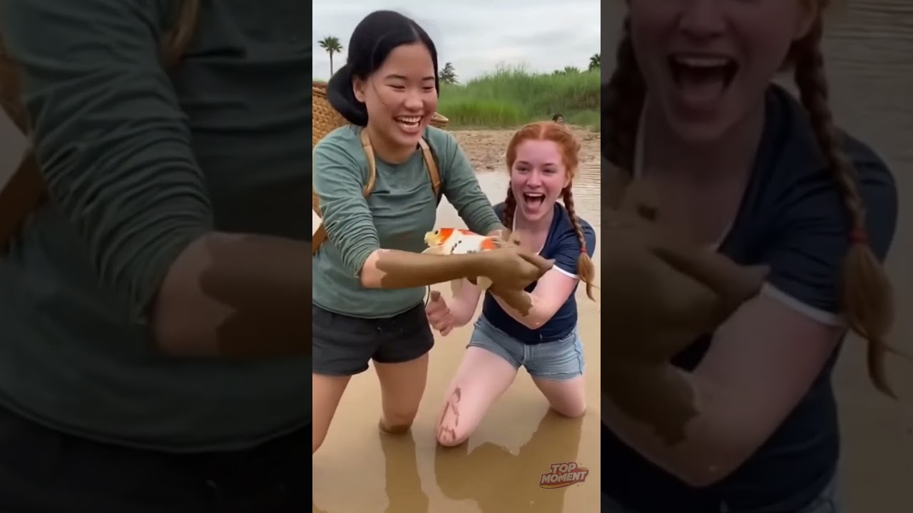 Прудовые рыбы заходят на рисовые поля