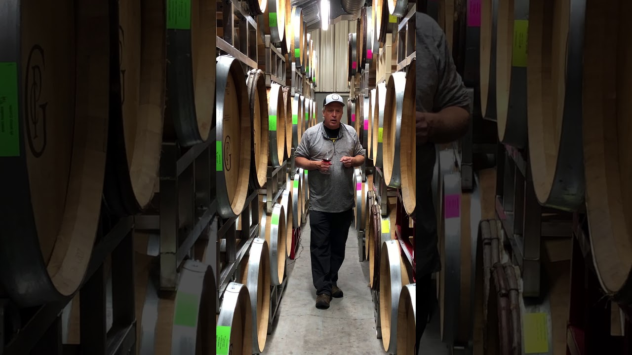 2019 Freedom Hill Vineyard, Wadensvil Clone Pinot Noir