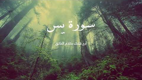 تلاوة مبكية . كما لم تسمعها من قبل .  من سورة يس | اسلام صبحي | من روائع التلاوات