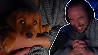 Chinese Man Buys Dog 🍴
