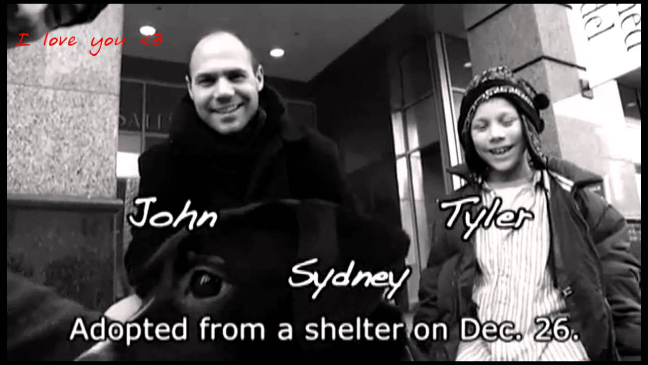 lyrics-on-screen-plain-white-t-s-1-2-3-4-youtube