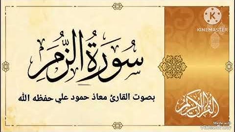 سورة الزمر تلاوة خاشعة للقارئ معاذ حمود علي حـفـظـه الله