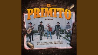 El Primito (En Vivo)