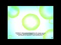 Studio B Productions Paramount Television Animation Nickelodeon Productions 2007 For NNNToday Studio B Productions Paramount Television Animation Nickelodeon Productions 2007 For NNNToday