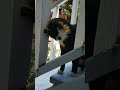 Зона комфорта 😹🤣 #позитив #cat #цитаты #юмор #смех #котики
