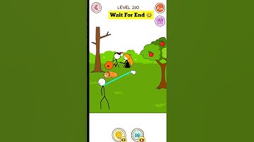 Thief puzzle level 210