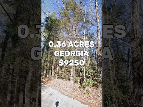 0.36 Acres with paved road access for Sale in Clayton Georgia for $9,250 #land #property #investing