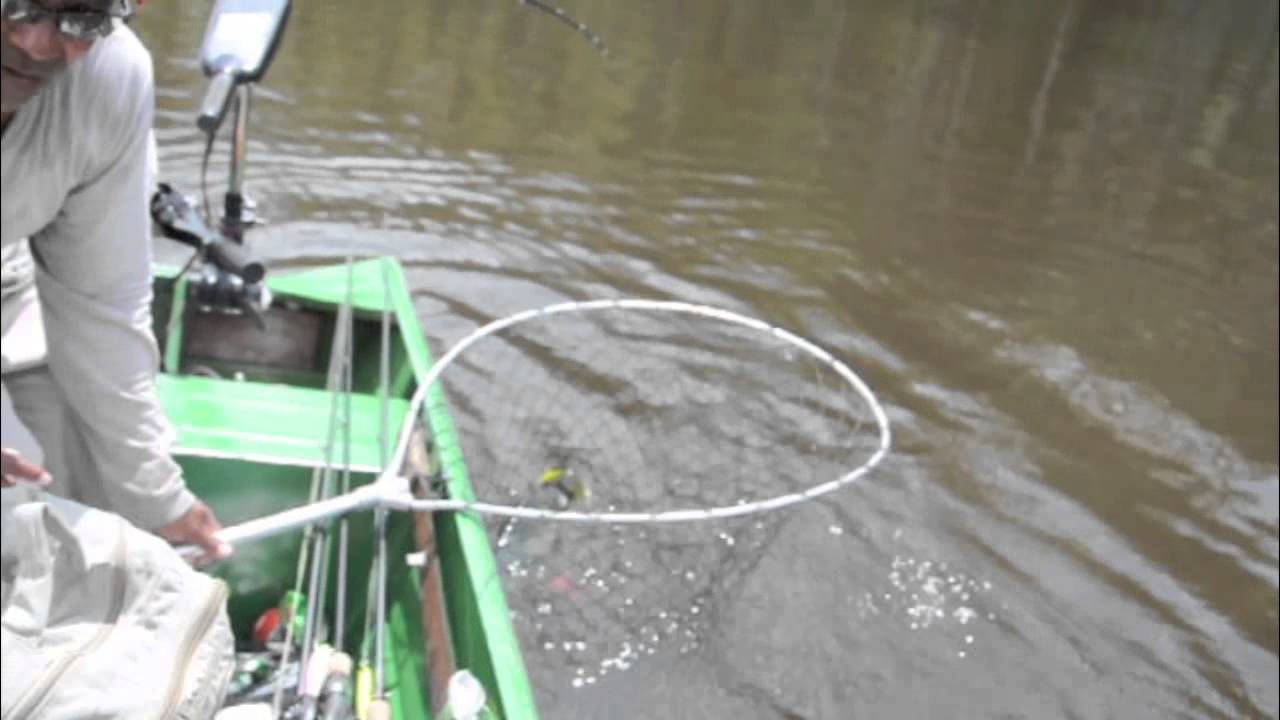 PEACOCK BASS JIGS WITH DOUBLE RATTLE BY CARLOS TOATOANovo Projeto YouTube