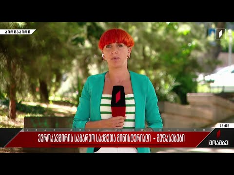 ევროკავშირის საგარეო საქმეთა მინისტერიალი - შეფასებები პოლიტიკურ სპექტრში