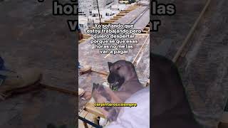 #viral #humor #memes #trabajos #horasextra 😂