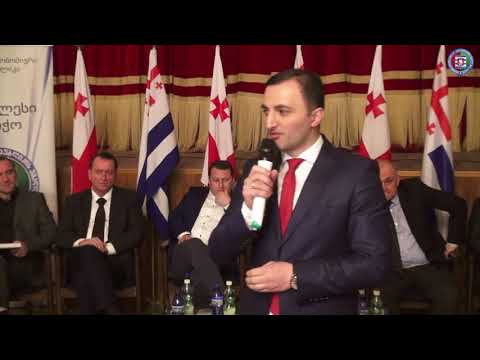 საკონსტიტუციო ცვლილებების მეცხრე საჯარო განხილვა