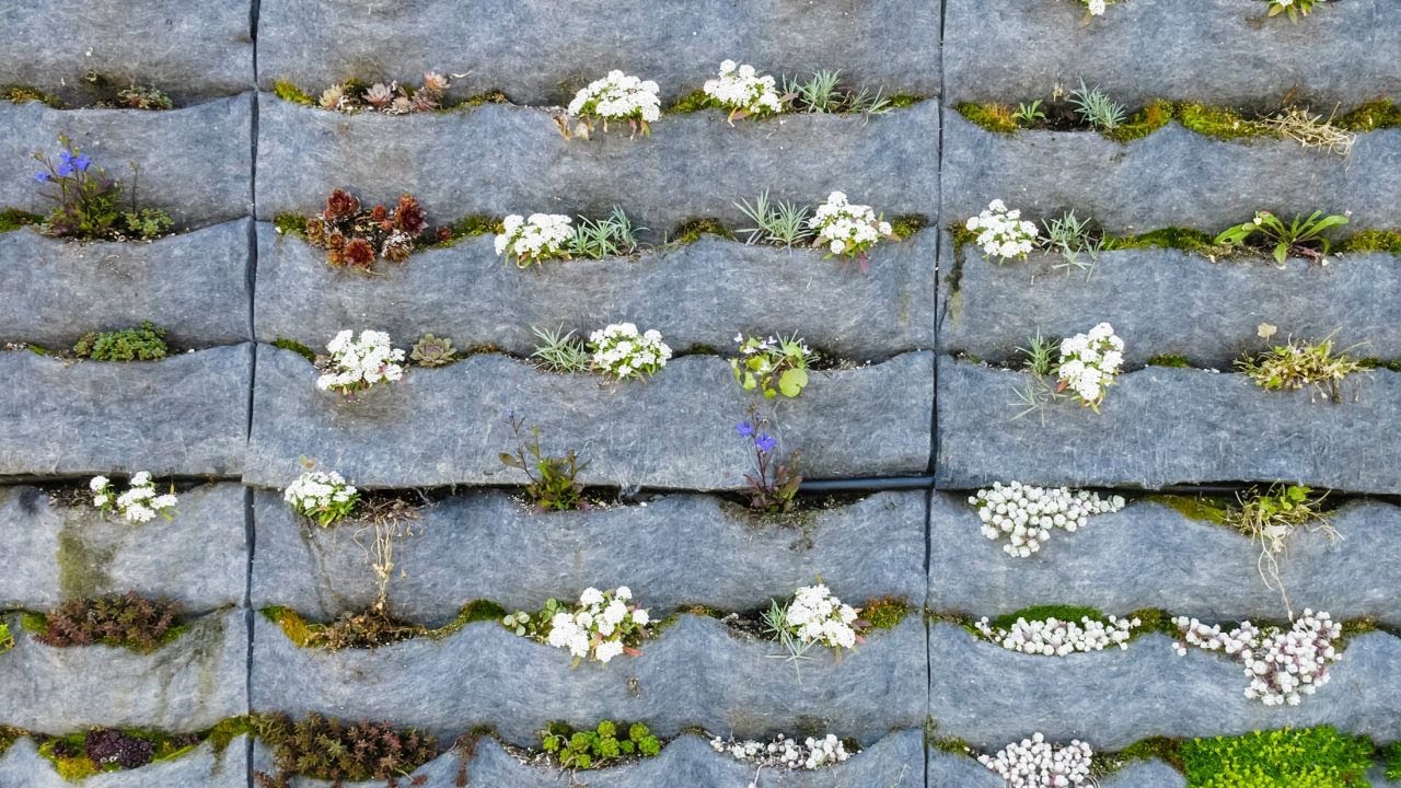 Cómo hacer un jardín vertical paso a paso