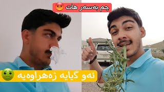 بەخوا چاک توش بووم😑(سەیران لەگەڵ ماڵەوە زۆر بێتامە🤦‍♂️)