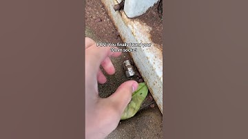 POV: You Finally Found Your 10mm Socket