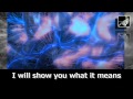 TNT for the brain with lyrics