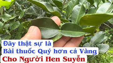 Đây thật sự là bài thuốc quý hơn cả Vàng cho Người bị Hen Suyễn, ho lâu năm. PHAN HẢI Channel