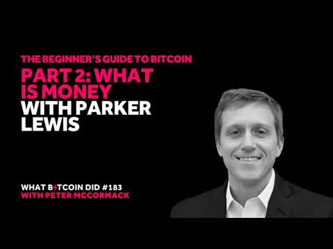 Beginner’s Guide #2: What Is Money With Parker Lewis