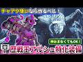 【装備紹介】神おまなしでもOK！"王アルシュ特化"の龍強属性チャアク装備の作り方【モンハンワイルズ】