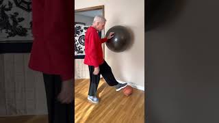 Solo Push Hands Drill.