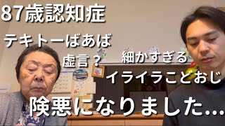 【不穏】87歳認知症ばあばと33歳こどおじ(孫)二人暮らし【ラグドール】(※FIP)【ハゴロモセキセイインコ】 by ミトログ〜87歳認知症ばぁばと33歳こどおじ二人暮らし〜 8,195 views 1 month ago 14 minutes, 54 seconds