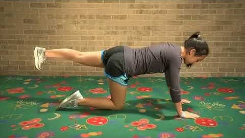 Spinal Stabilization - Group 3 - Exercise 2 - Quadruped Leg Lifts with Bracing