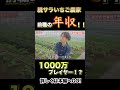 【脱サラいちご農家】前職の年収!! #shorts #切り抜き