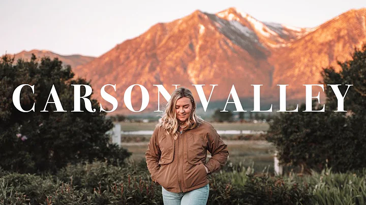 My Solo Trip to Carson Valley, Nevada | Wild Horse...