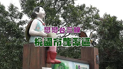 【戀戀台三線】龍泉茶的故鄉─桃園市龍潭區 - 天天要聞