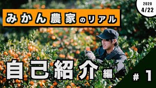 【江戸時代から続く七代目みかん農家】2020年のみかんができるまで！初投稿は自己紹介！珍しいみかん「紅みかん」登場！善兵衛農園 #1