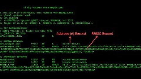 Master DNS Enumeration with DNSSEC Zone Walking | Ultimate Bug Bounty & Pentesting Guide! 🔍🚀