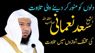 Amazing Recitation By Sheikh Saad Nomani Madni || Quran Tilawat in Different Voices || Baitul Noor