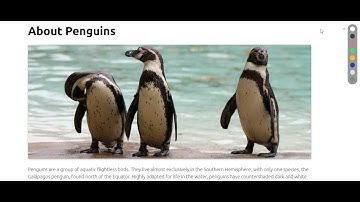 How to Build a Simple Theme Switcher With the CSS Checkbox Hack