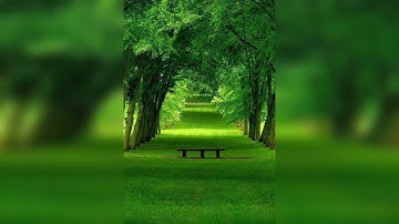 سورة يس بصوت الشيخ احمد المطري