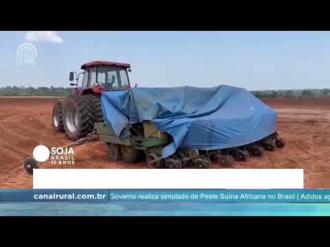 Soja Brasil | Mato Grosso: semeadura da soja segue apenas na região nordeste | Canal Rural
