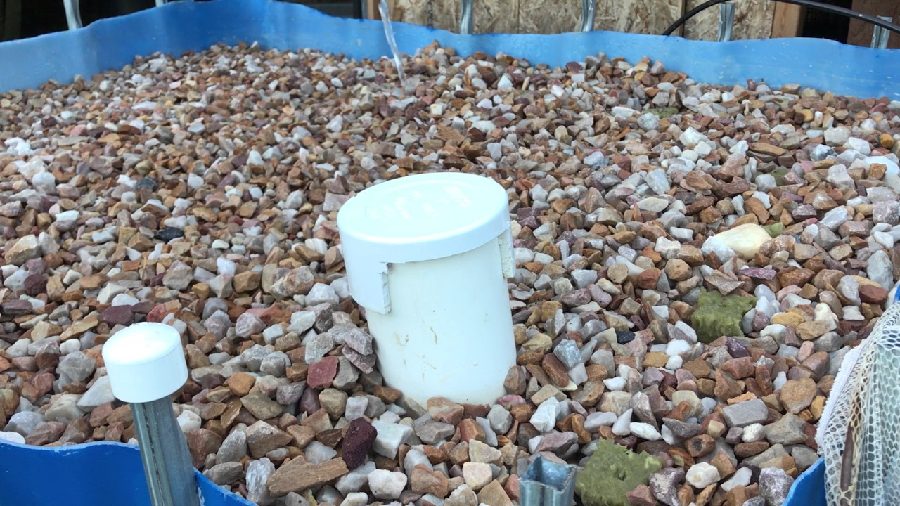 Backyard Aquaponics with IBC Tote - YouTube