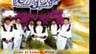 Video thumbnail of "SENSACIONAL GRUPO VIRGO Te aventaste un dies"