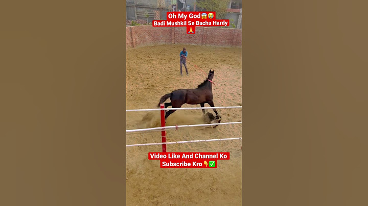 Badi Mushkil Se Jaan Bachi Hardy Ki😱😭/ Horse videos /Horse Dog Fight/Dog videos / #shorts