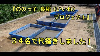 ミニミニ田んぼを３４名で代掻き・ＮＳＵ５５リアクラッチ交換・2019