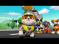 La pat patrouille  mighty pups la super patrouille  ruben  nickelodeon junior