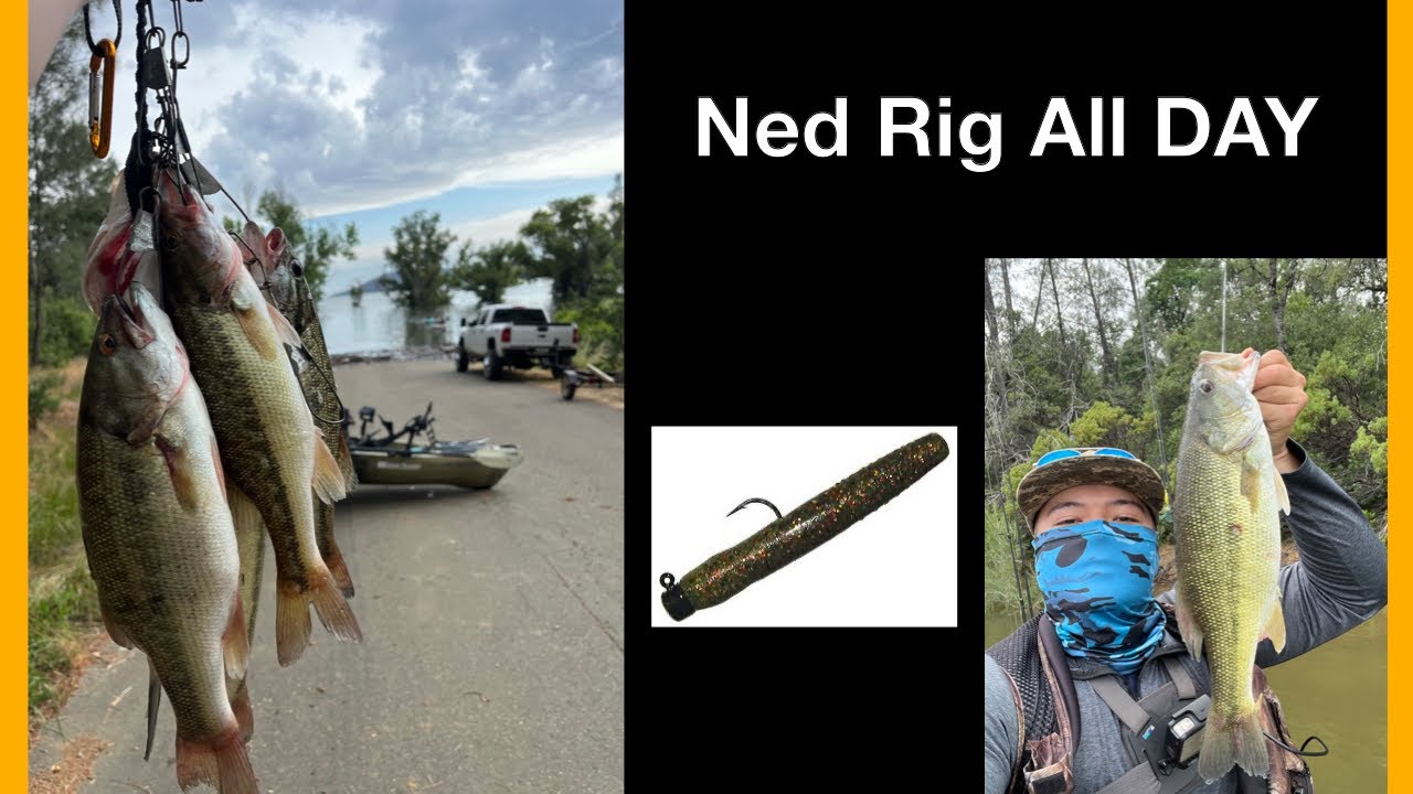 LAKE OROVILLE JUNE SPRING BASS FISHING 2023