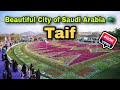 Beautiful city of saudi arabia taif  taif saudi arabia  abdul latif chohan