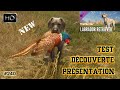 Thehunter call of the wild le labrador retriever 240 test du nouveau dlc labrador retriever 