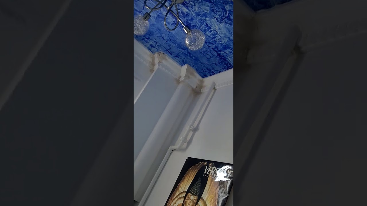 Stuck Leiste Verklebt und Verspachtelt 😎