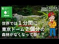 世界では１分間に東京ドーム２個分の森林がなくなってる？